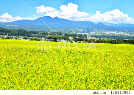 山梨県韮崎市旭町上條より韮崎市役所、茅ヶ岳方面を望む(山梨県韮崎市)【2024.9】 118813992