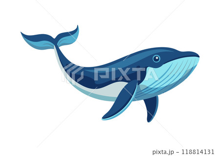 Blue whale swimming in the ocean Blue whale swimming in the ocean 118814131