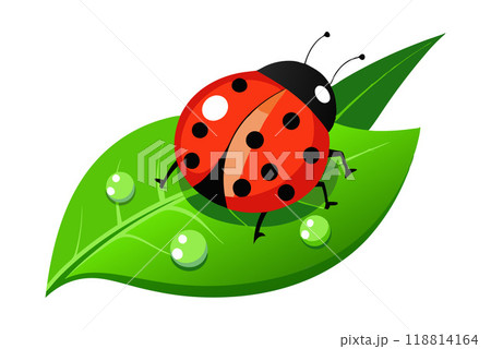 Vector illustration of a red ladybug with black spots on a vibrant green leaf with water droplets. Perfect for nature, insects, and environmental themes. 118814164