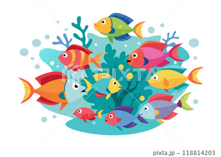 Brightly colored fish in the ocean Brightly colored fish in the ocean 118814203