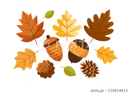 Colorful autumn leaves and acorns vector illustration for seasonal decorations Colorful autumn leaves and acorns vector illustration for seasonal decorations 118814613
