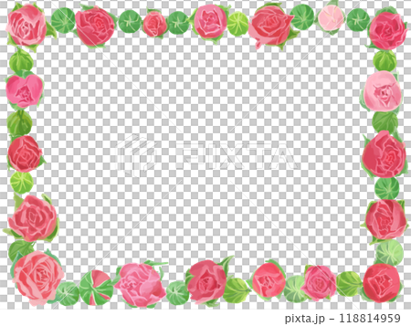 Pink rose frame Pink rose frame 118814959
