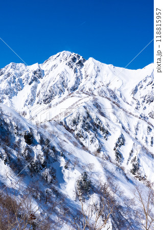 長野県白馬村　北アルプスの小遠見山　雪山登山　二ノ背から見る五竜岳（武田菱） 118815957