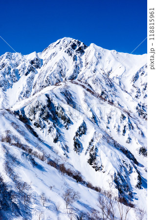 長野県白馬村 北アルプスの小遠見山 雪山登山 二ノ背から見る五竜岳(武田菱) 長野県白馬村 北アルプスの小遠見山 雪山登山 二ノ背から見る五竜岳(武田菱) 118815961