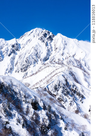 長野県白馬村　北アルプスの小遠見山　雪山登山　小遠見山の山頂から見る五竜岳（武田菱） 118816013