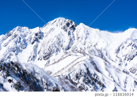 長野県白馬村　北アルプスの小遠見山　雪山登山　小遠見山の山頂から見る五竜岳（武田菱） 118816014