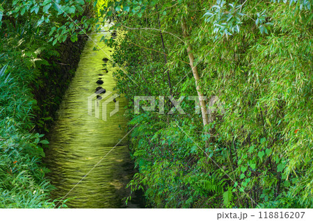 わさび畑の排水路【安曇野市】 118816207