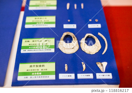 埼玉県富士見市　水子貝塚公園　水子貝塚展示館 118816217