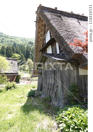 新緑が美しい白川郷 合掌造りの家屋 新緑が美しい白川郷 合掌造りの家屋 118816531