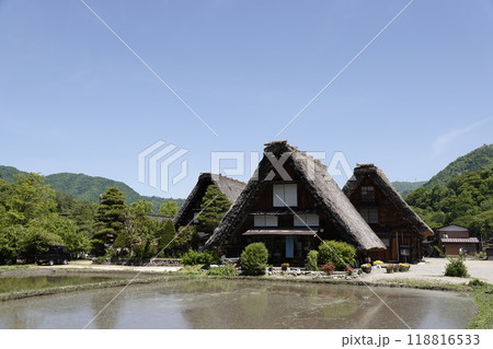 白川郷 新緑が美しい山並みと合掌造りの家屋と水田 118816533