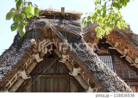 白川郷 合掌造り小屋組(屋根)の頂部 棟木とカンザシガヤ 白川郷 合掌造り小屋組(屋根)の頂部 棟木とカンザシガヤ 118816536