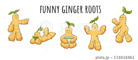 Funny ginger roots. Cute vector characters. Funny ginger roots. Cute vector characters. 118816861