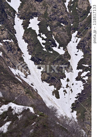 雪渓 雪渓 118817133