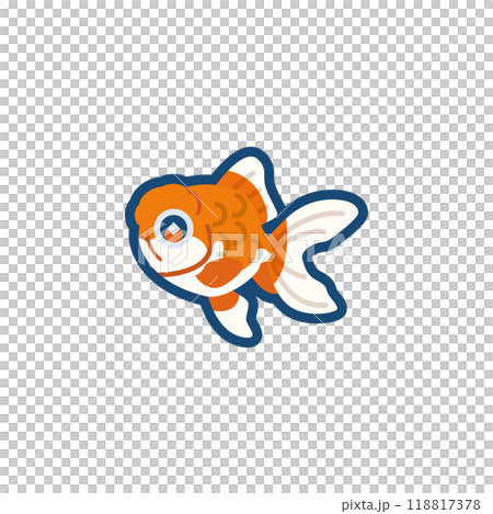 Illustration of a cute goldfish (Dutch lionhead) 118817378