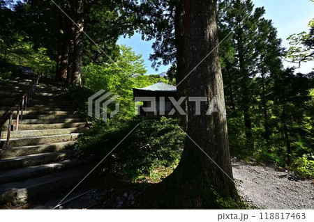 新緑の大山寺 118817463