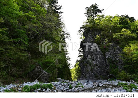 新緑の金門 118817511