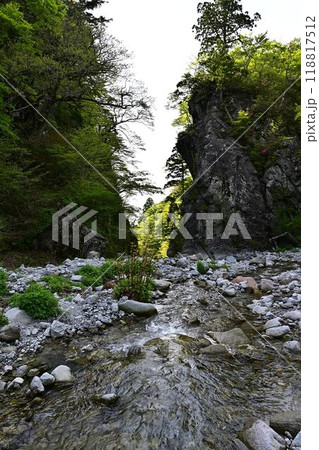 新緑の金門 118817512