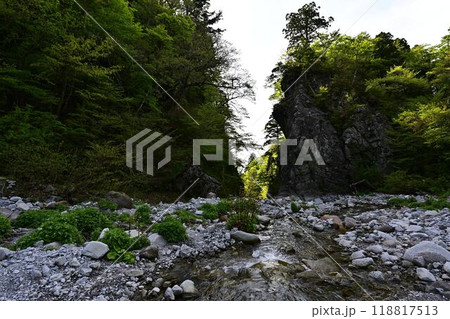 新緑の金門 118817513