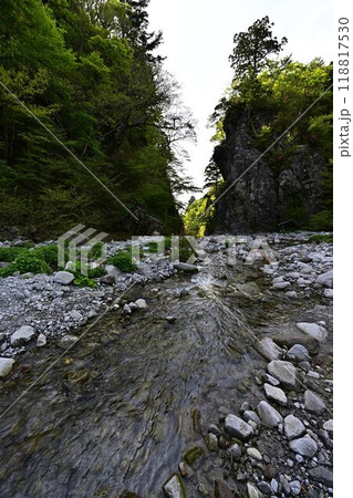 新緑の金門 118817530