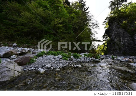 新緑の金門 118817531