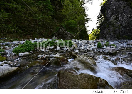 新緑の金門 118817536