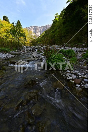 新緑の大山 118817539