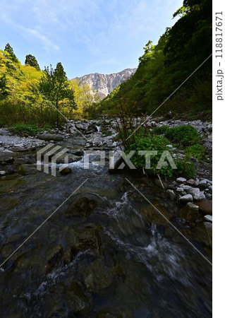 新緑の大山 118817671