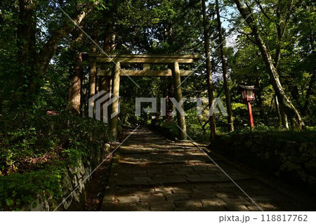 新緑の大神山神社 新緑の大神山神社 118817762