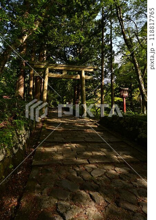 新緑の大神山神社 118817765