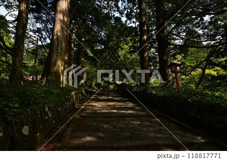 新緑の大神山神社 118817771