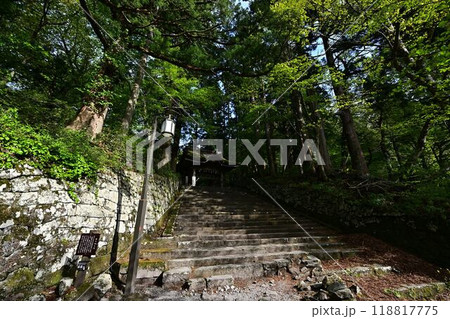 新緑の大神山神社 118817775