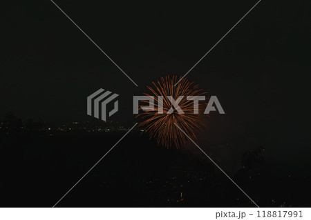 三ヶ日花火大会で夏の夜空に浮かぶオレンジ一色の花火(静岡県) 118817991