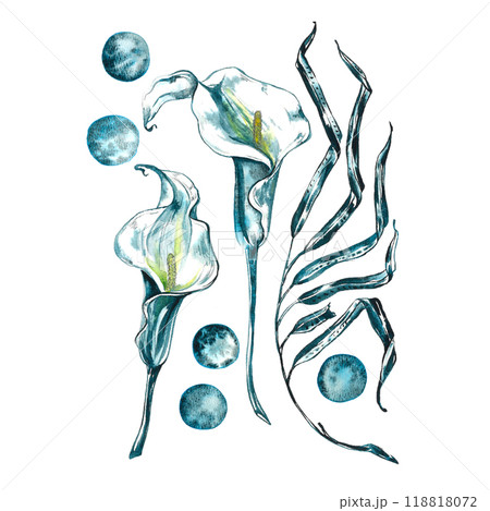 Watercolor hand drawn floral set with delicate illustration of blossom white calla lily flowers and leaf. Elegant romantic elements isolated on white background. Beautiful summer collection 118818072