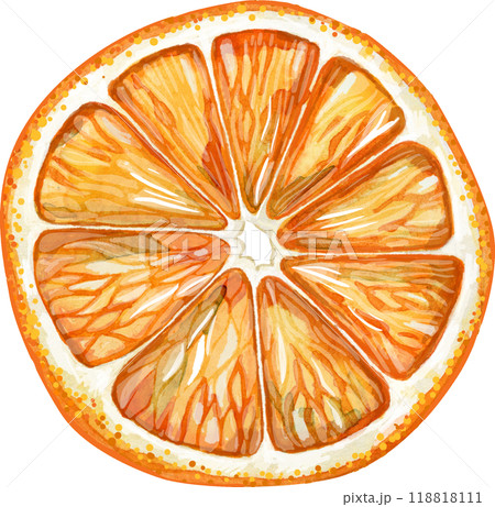 Dried orange. Organic Healthy Dried Fruit. Watercolor illustration 118818111