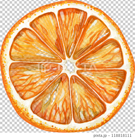 Dried orange. Organic Healthy Dried Fruit. Watercolor illustration 118818111