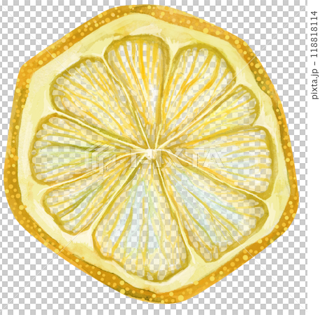 Dried lemon. Organic Healthy Dried Fruit. Watercolor illustration 118818114
