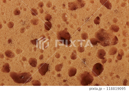 Foam sponge 118819095