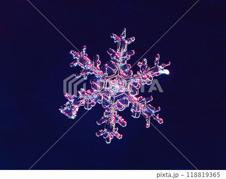 Super macro photography of snowflake. Snowflake natural crystal single isolated on dark blue background, transparent abstract photo background 118819365