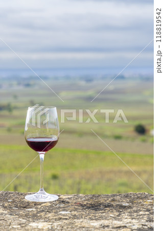 Glass of pinot noir red wine in early spring vineyards near Aloxe-Corton, Burgundy, France Glass of pinot noir red wine in early spring vineyards near Aloxe-Corton, Burgundy, France 118819542