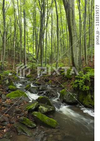 Starohutiansky waterfall near Nova Bana and Zarnovica, Pohronsky Inovec mountains, Slovakia Starohutiansky waterfall near Nova Bana and Zarnovica, Pohronsky Inovec mountains, Slovakia 118819577