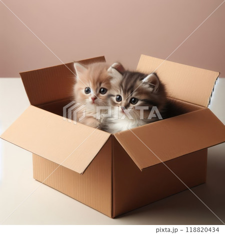 Kittens sitting in a cardboard box. 118820434