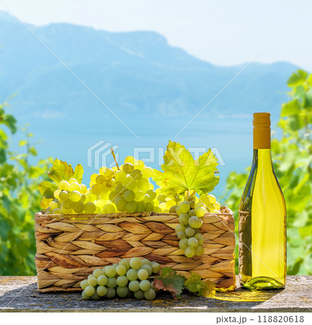 Bottle of white wine and basket of grape Bottle of white wine and basket of grape 118820618