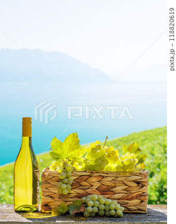 Bottle of white wine and basket of grape Bottle of white wine and basket of grape 118820619