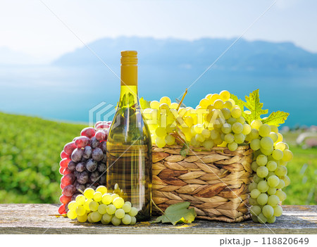 Bottle of white wine and basket of grape 118820649