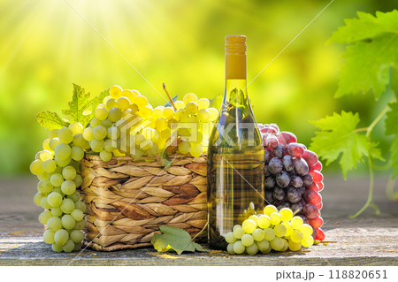 Bottle of white wine and basket of grape Bottle of white wine and basket of grape 118820651