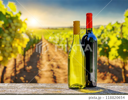 Bottles of red and white wine 118820654