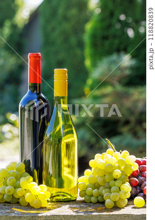 A basket filled with various types of grapes and bottles of red and white wine 118820839