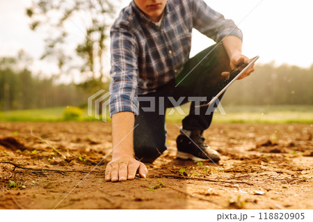 The farm owner's hand touches soil, checks quality of the soil before sowing. Ecology, technology. 118820905