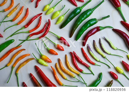 different types of hot pepper in different colors from green to purple. High quality photo hot pepper is laid in neat rows on a light background. autumn backgrounds with ripe vegetables 118820936