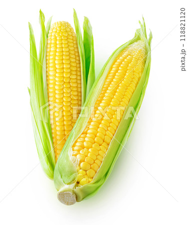 Two yellow corn cobs with leaves isolated on white 118821120